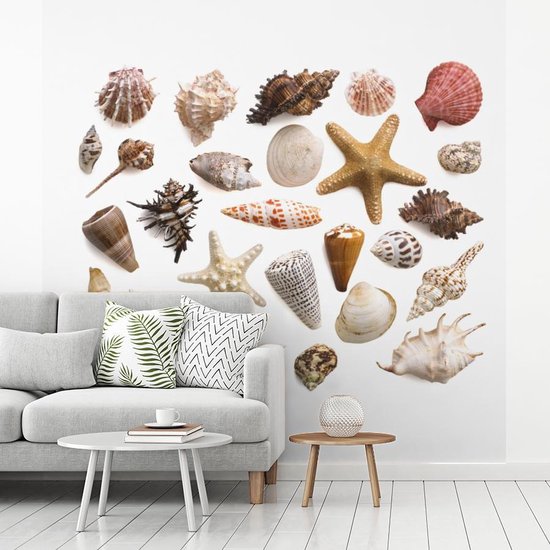 Sélection de coquillages et de fotobehang étoiles de mer