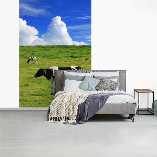 Veaux Zwart et blancs paissant dans la prairie 155x240 cm