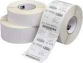 Zebra Label, Paper, 148x210mm, Direc