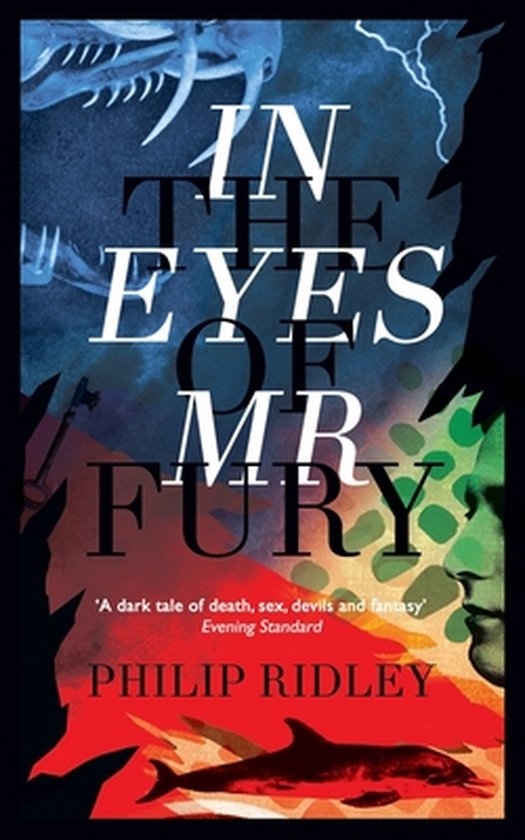 In the Eyes of MR Fury - cover