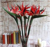 Kunst Paradijsvogelbloemen – Set van 2 – Rood