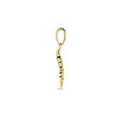 Hanger Veer