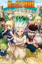 ABYstyle Dr Stone Groupe  Poster - 61x91,5cm