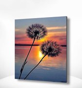 Painting Expert® Schilderen op nummer Volwassenen - Schilderen op nummer Kinderen - Paardenbloem Zonsondergang - 40x50cm - Exclusief Lijst (24 kleurtjes)