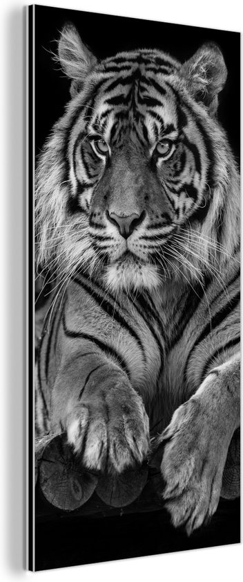 Wanddecoratie Metaal - Aluminium Schilderij Industrieel - Dierenprofiel Sumatraanse tijger in zwart-wit - 40x80 cm - Dibond - Foto op aluminium - Industriële muurdecoratie - Voor de woonkamer/slaapkamer