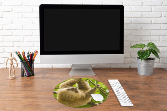 Muismat rond 50x50 cm - Mousepad Een gekleurde jonge luiaard hangt tussen de groene bladeren - Ronde muismatten