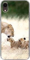 Geschikt voor iPhone XR hoesje - Leeuw - Gras - Welp - Familie - Siliconen Telefoonhoesje