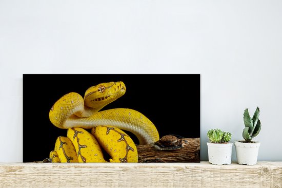 By Unbranded Art Mural Serpent, Décoration Serpent En Métal, Art Animal, Décoration Murale En Métal, Suspension Murale, Art Mural De Salon, Décoration Intérieure, Panneau Serpent