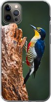 Geschikt voor iPhone 13 Pro Max hoesje - Close-up van een kleurrijke vogel op de zijkant van een boomstronk - Siliconen Telefoonhoesje