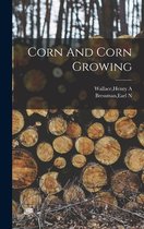 Corn And Corn Growing