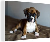 Canvas Schilderij Boxer puppy ligt op een kussen - 90x60 cm - Wanddecoratie