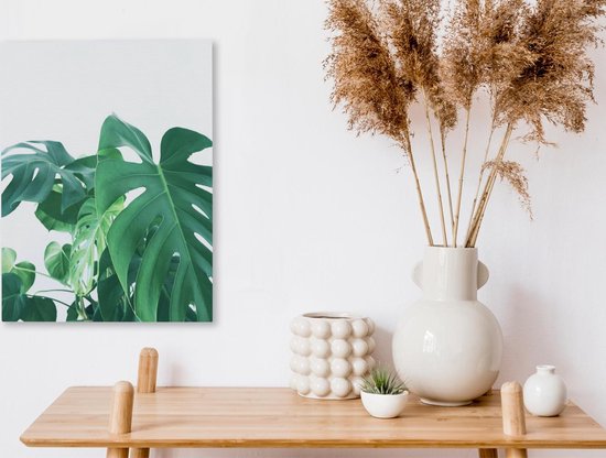 Peintures sur toile - Énormes feuilles botaniques de la plante trouée - 30x40 cm - Décoration murale