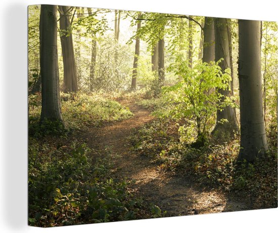 Chemin dans la forêt Toile 30x20 cm - petit - Tirage photo sur toile (Décoration murale salon / chambre) / Décoration murale Peintures sur toile