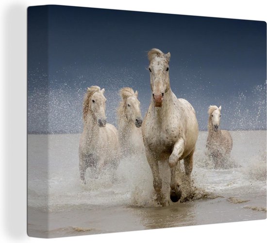 Des chevaux blancs sauvages galopent dans leau en Camargue 30x20 cm MuchoWow Photo sur toile Avec Cadre 