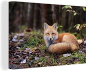 Resting Fox Canvas 120x80 cm - Tirage photo sur toile (Décoration murale salon / chambre) / Peintures sur toile Animaux