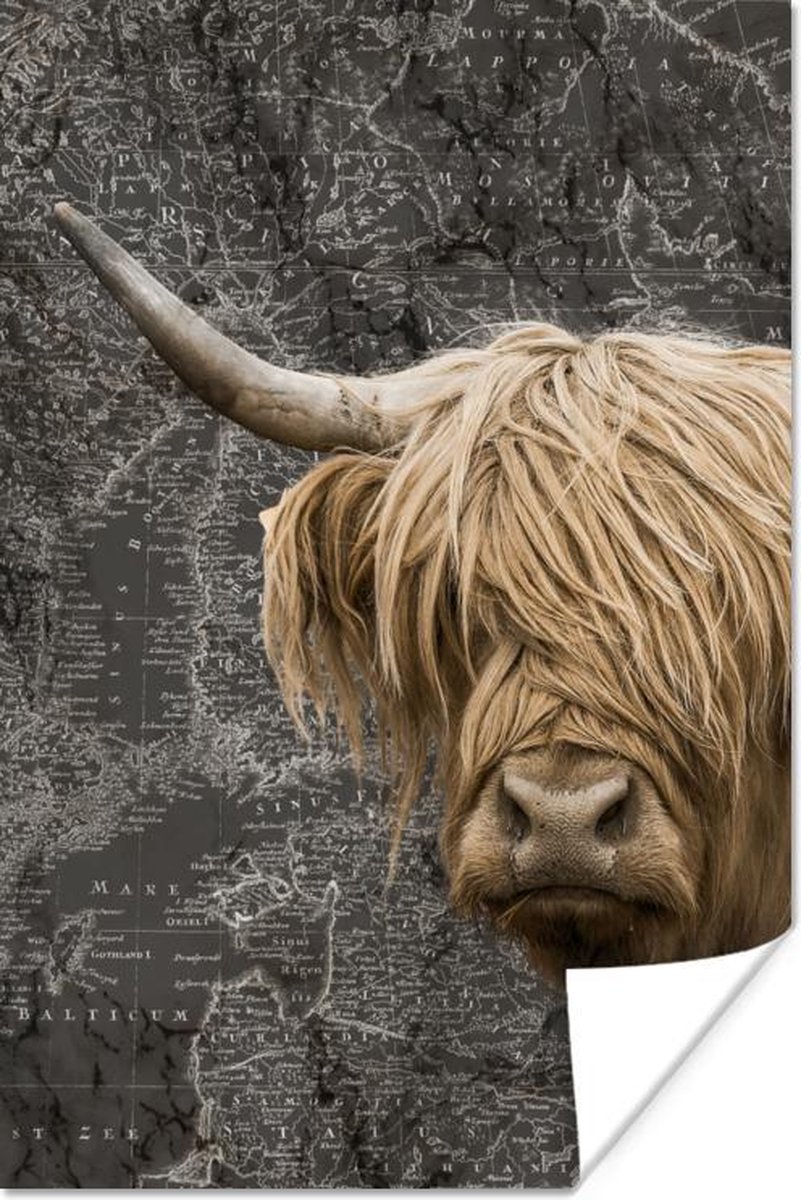 Poster Schotse hooglander - Koeien - Wereldkaart - 60x90 cm