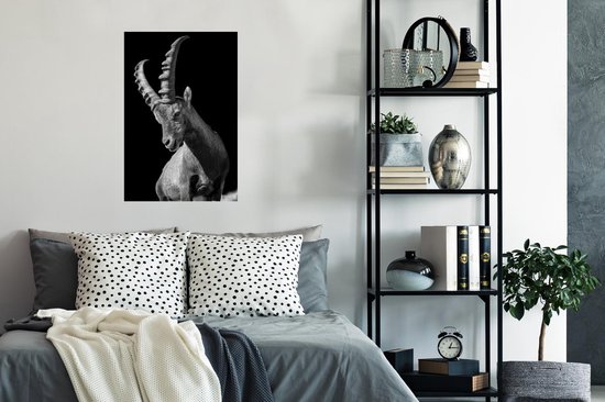 Poster Photo Chèvre Zwart 40x60 cm - Tirage Photo sur Poster (décoration murale salon / chambre) / Poster Animaux