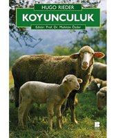 Koyunculuk