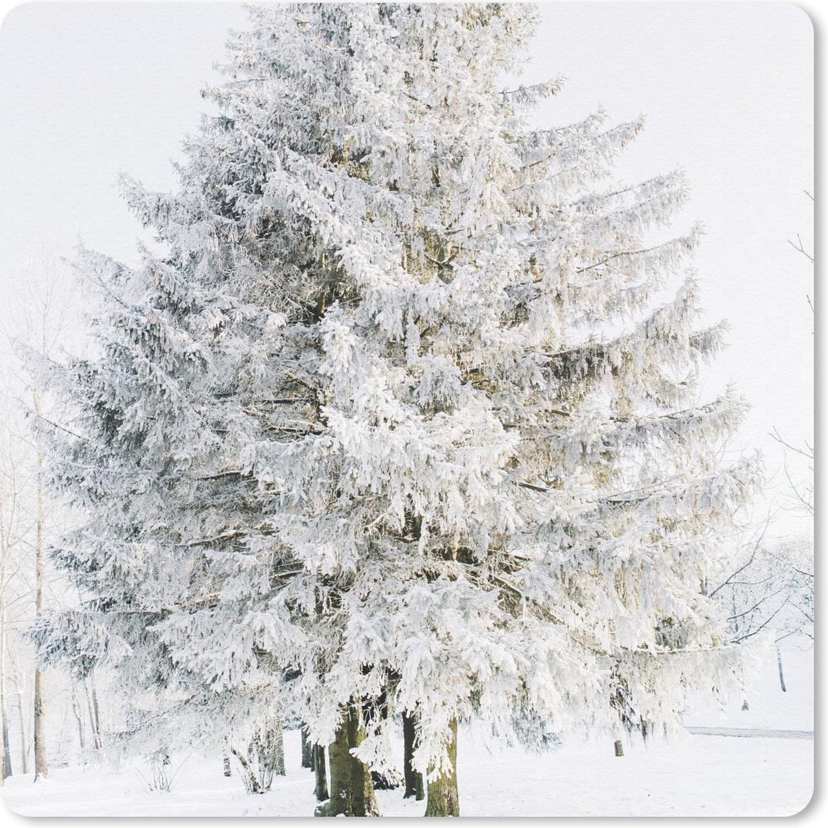 Muismat 30x30 cm - Mousepad Winter - Boom - Sneeuw - Den - Wit - Muismatten