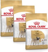 Royal Canin Bhn Pug Pug Adult - Nourriture pour chiens - 3 x 1,5 kg