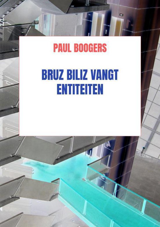 Bruz Biliz vangt entiteiten - cover