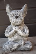 Franse Bulldog, frenchie, Zen, Yoga Houding