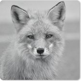 Muismat - Portretfoto rode vos - zwart wit - 20x20 cm -