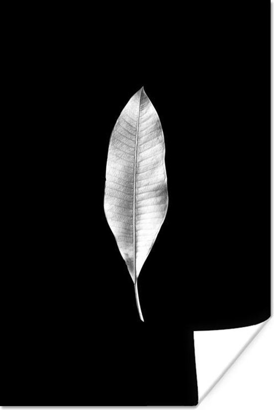 Poster Langwerpig blad op een achtergrond - zwart wit - 20x30 cm | bol.com