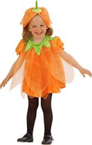 Widmann - Pompoen Kostuum - Pompoen Met Steel Halloween - Meisje - Oranje - Maat 98 - Halloween - Verkleedkleding