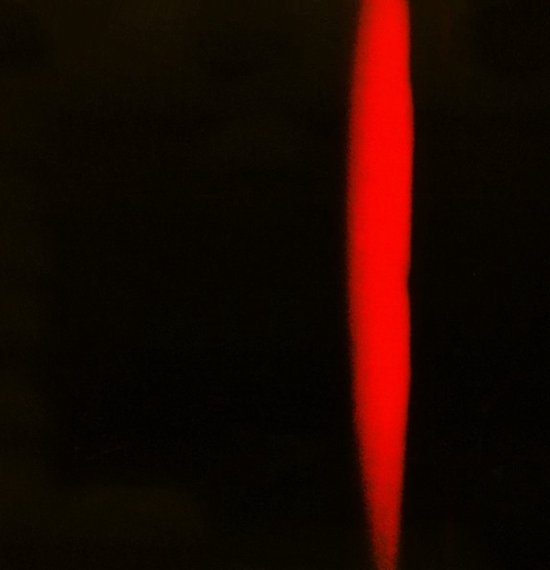 Pelt Max Meadows (CD), Pelt CD (album) Muziek bol