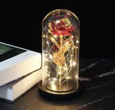Beauty and The Beast | Roos in glas/stolp | Het ideale cadeau!