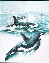 Borduurpakket Jeanette Crews Desings ORCAS