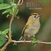 Birds Kalender 2022