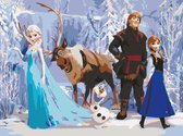 Paint By Numbers - Schilderen op Nummer - Disney Frozen; Elsa and Friends - 40x50cm - Volwassenen - Stipco