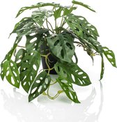 Kunstplant Monstera 55 cm in pot groen
