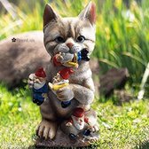 ✿BrenLux® Tuinbeeld – Beeld kat met kabouters – Tuinbeeld kabouter – Decoratiebeeld –Groot tuinbeeld poes - 23 x 14cm beeld – Zomer & Winter tuinbeeld – kattenbeeld