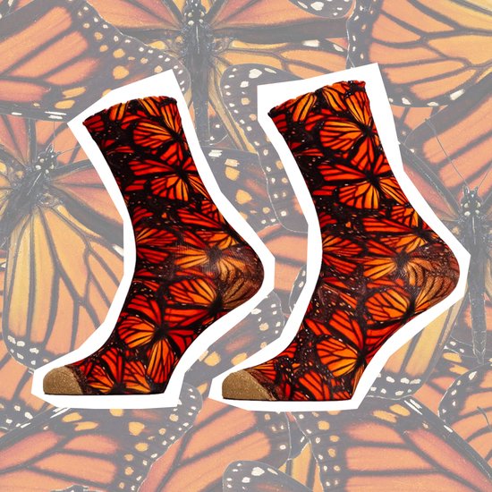 Sock My Feet - Grappige sokken dames - Maat 39-42 - Sock My Autumn Butterfly - Herfst vlinders sokken - Funny Socks - Vrolijke sokken - Leuke sokken - Fashion statement - Gekke sokken - Grappige cadeaus - Socks First.
