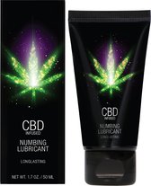 Pharmquests - CBD Numbing Lubricant - 50ML