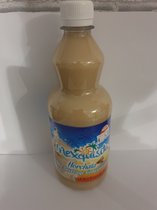 Mexquisita Horchata 700ml