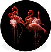 WallCircle - Wandcirkel ⌀ 150 - Flamingo - Roze - Zwart - Ronde schilderijen woonkamer - Wandbord rond - Muurdecoratie cirkel - Kamer decoratie binnen - Wanddecoratie muurcirkel - Woonaccessoires