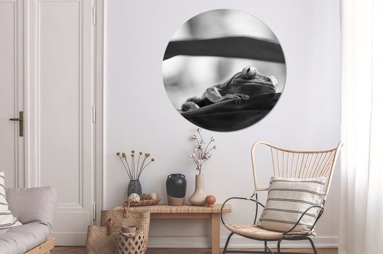 WallCircle - Wall Circle - Wall Circle Indoor - Grenouilles dans la nature du Costa Rica en noir et blanc - 120x120 cm - Décoration murale - Peintures Ronds XXL