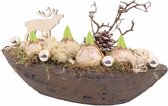 Kerststukje met 4 hyacint bloembollen (wit) in stenen boot - 38x14x22 cm - Echt handgemaakt kerststukje van levend materiaal