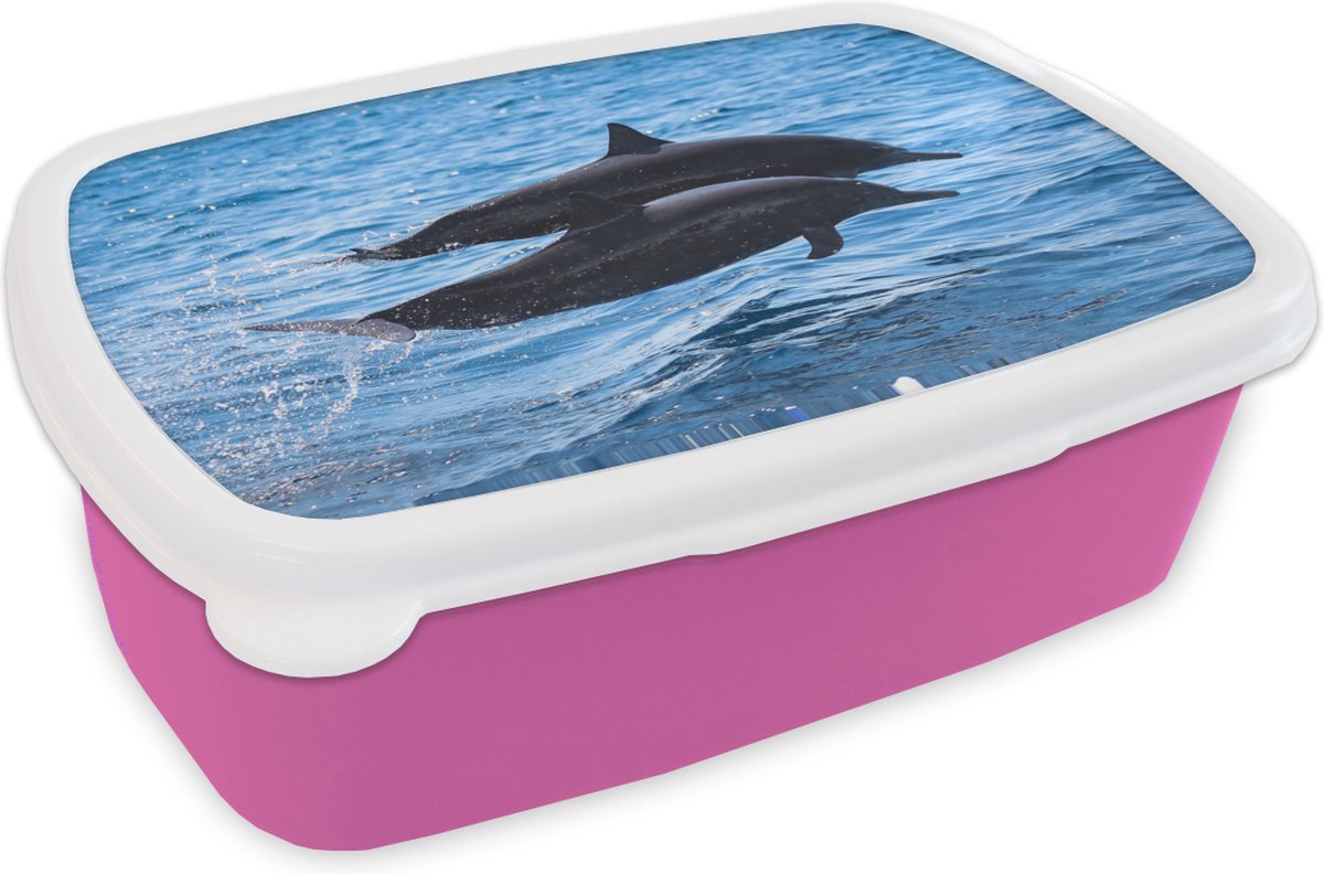 Broodtrommel Roze - Lunchbox - Brooddoos - Dolfijn - Zee - Dier - 18x12x6 cm - Kinderen - Meisje