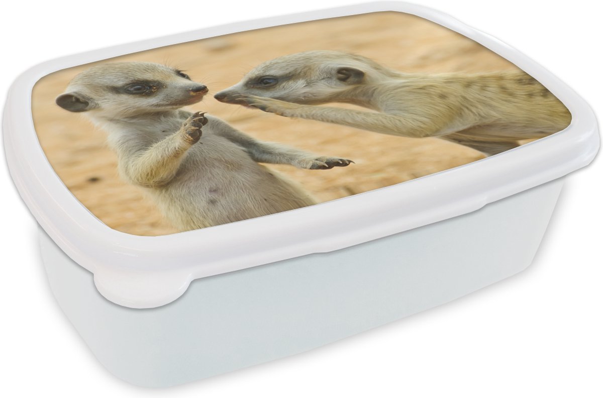 Broodtrommel Wit - Lunchbox - Brooddoos - Stokstaartjes - Bruin - Dier - 18x12x6 cm - Volwassenen