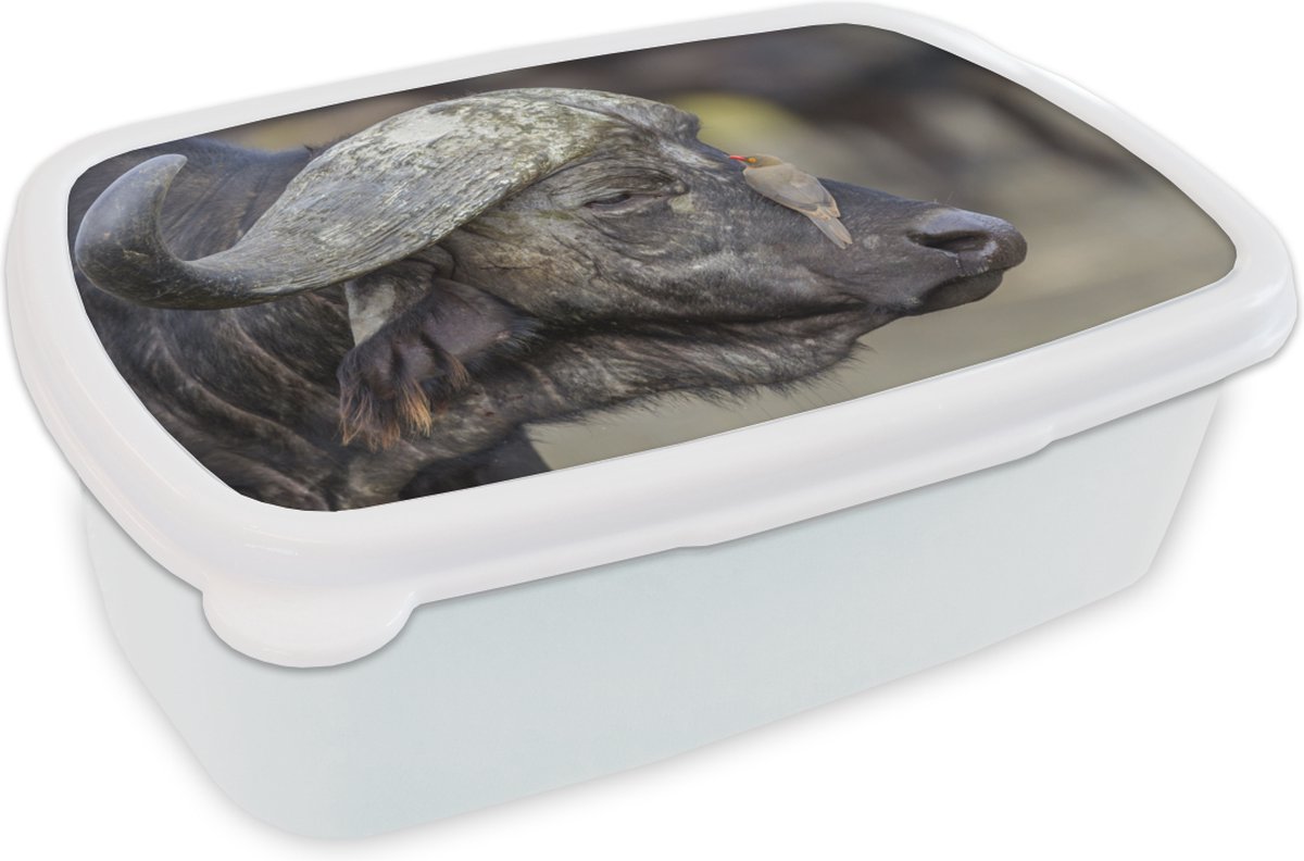 Broodtrommel Wit - Lunchbox - Brooddoos - Buffel - Vogel - Dieren - 18x12x6 cm - Volwassenen