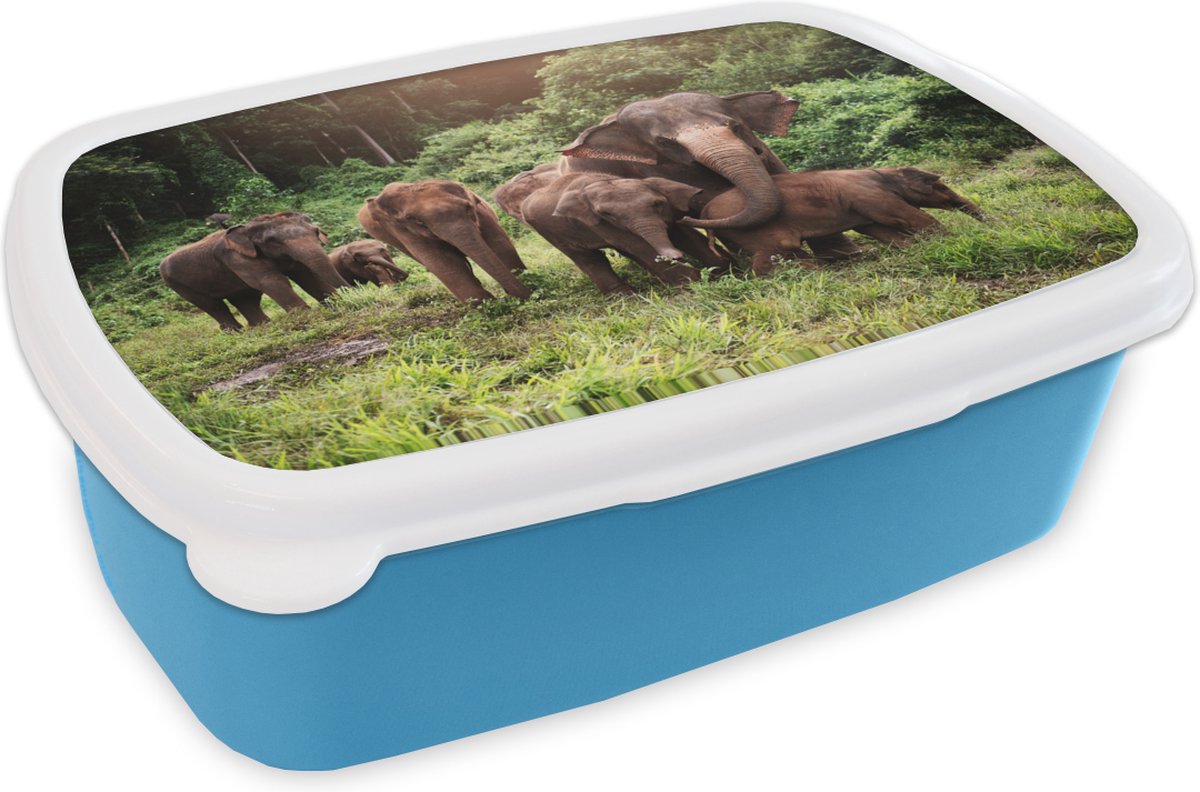 Broodtrommel Blauw - Lunchbox - Brooddoos - Olifanten uit het bos - 18x12x6 cm - Kinderen - Jongen