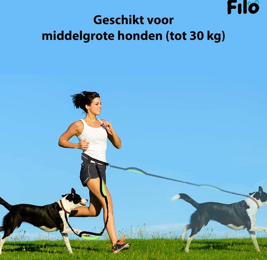 Onrecht hebben zich vergist glas Filo Elastische Hondenriem Middel - Hardlopen en Wandelen - Hardloopriem  Hond... | bol.com