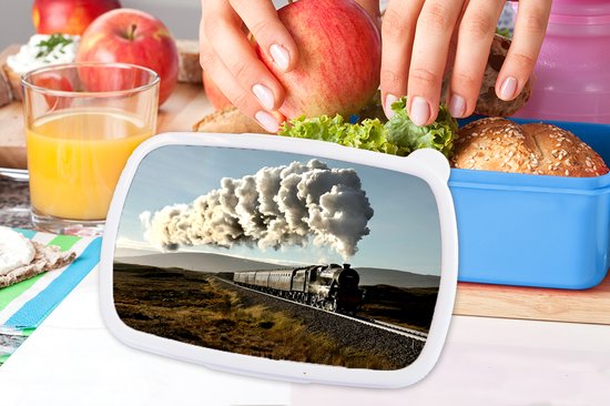 Broodtrommel Blauw - Lunchbox - Brooddoos - Een stoomtrein over een brug met het groene landschap - 18x12x6 cm - Kinderen - Jongen