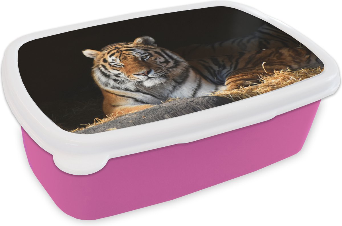 Broodtrommel Roze - Lunchbox - Brooddoos - Tijger - Stro - Schaduw - 18x12x6 cm - Kinderen - Meisje