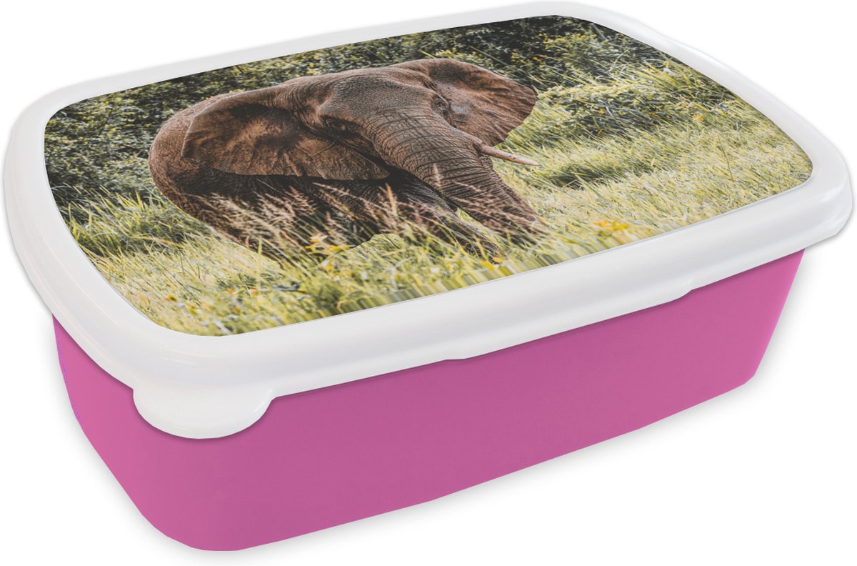 Broodtrommel Roze - Lunchbox - Brooddoos - Olifant - Natuur - Gras - 18x12x6 cm - Kinderen - Meisje
